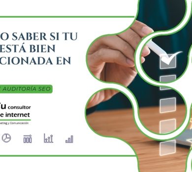 Auditoría SEO 2026 - Search Everywhere Optimization - Análisis completo posicionamiento web para negocios locales que no saben si están siendo encontrados en Google - Tu Consultor de Internet Galicia