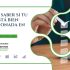 Auditoría SEO 2026 - Search Everywhere Optimization - Análisis completo posicionamiento web para negocios locales que no saben si están siendo encontrados en Google - Tu Consultor de Internet Galicia