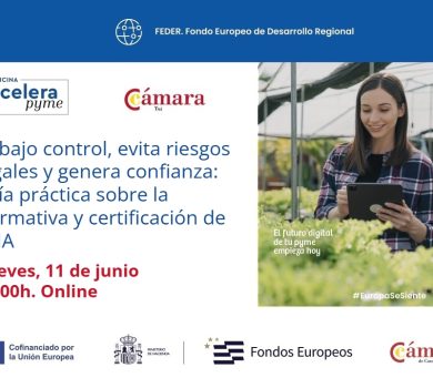 Jorge Alonso participa en una jornada sobre normativa, riesgos legales y certificación de la inteligencia artificial organizada por la Cámara de Comercio de Tui